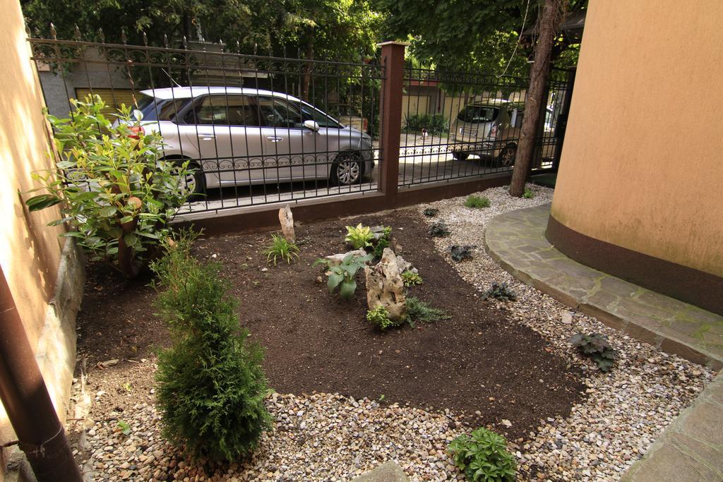 Apartament Guest Nexus